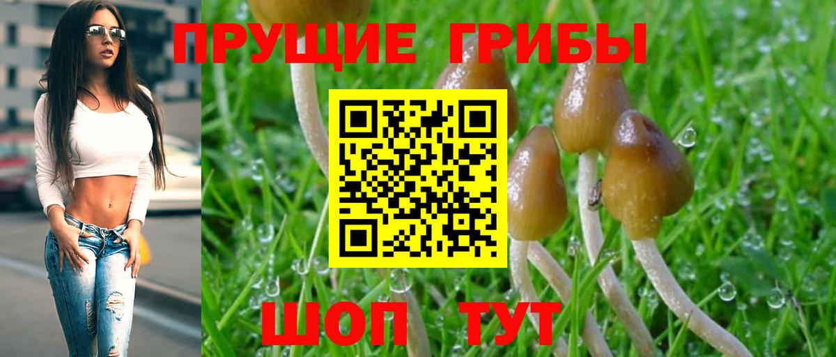 Ржев  Псилоцибиновые грибы Magic Shrooms  Вход с VPN 
