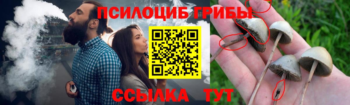 Псилоцибиновые грибы мицелий Ржев
