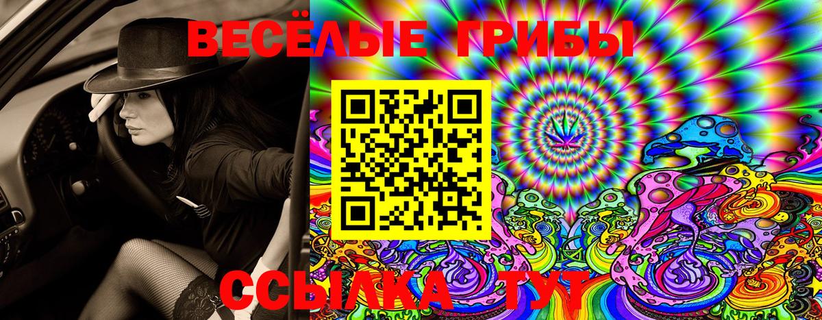Галлюциногенные грибы ЛСД  где купить наркоту  Ржев 